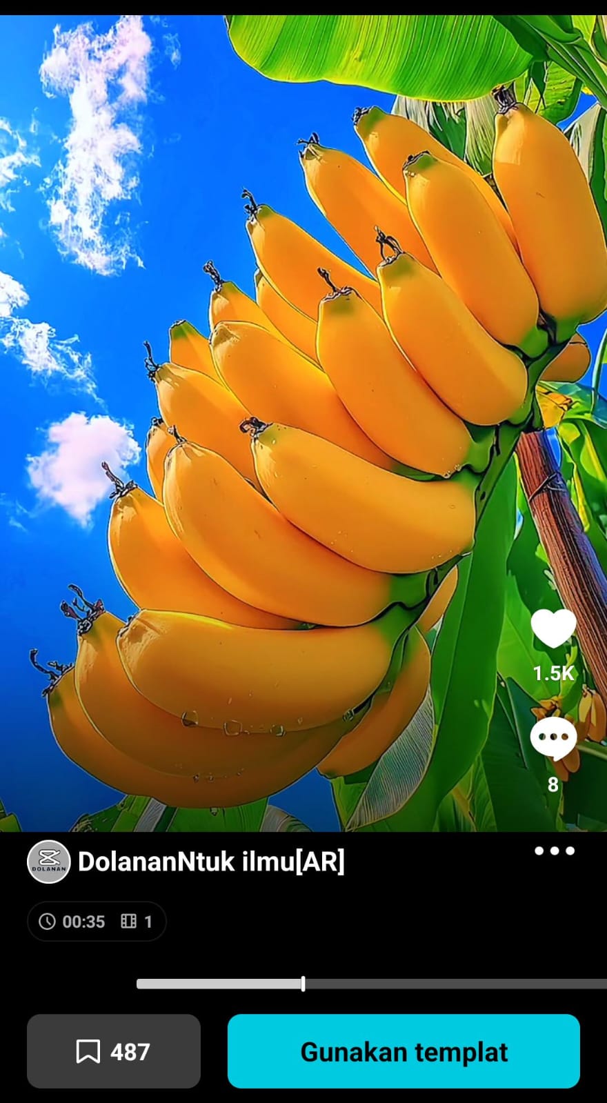 Template Capcut viral 4K+HD+Jernih(Buah Pisang Aesthetic) dolanan